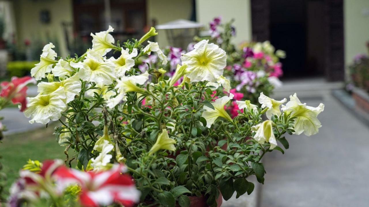 Kathmandu Garden Home Екстериор снимка